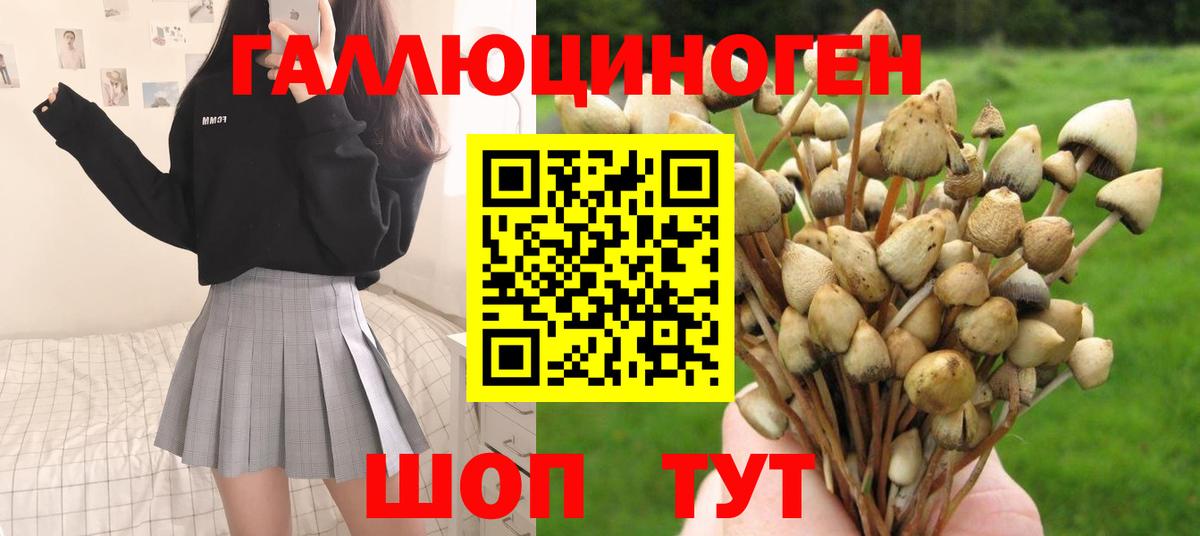 Псилоцибиновые грибы прущие грибы Тамбов