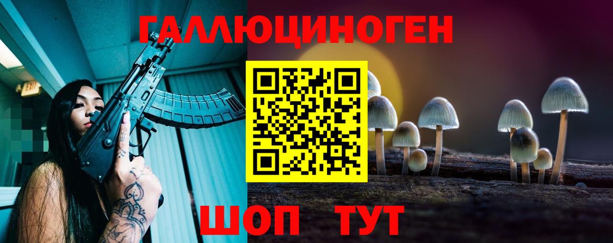 Галлюциногенные грибы Psilocybe  Вход с VPN  Тамбов 